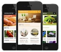 手機(jī)網(wǎng)站怎樣做才更有效果？如何做優(yōu)化？