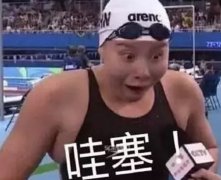 做好SEO，必須知道的這幾句實(shí)話！