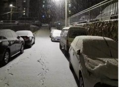 青島！大雪！大愛(ài)！