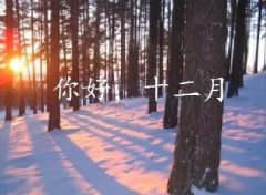 抓住2016年的尾巴給自己充充電！12月，加油！