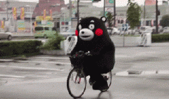青島也有“共享單車”啦！說騎就騎的旅程GO