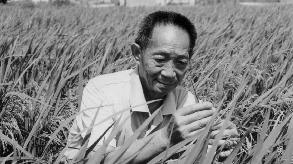 沉痛哀悼！袁隆平院士逝世